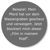 Beispiel: Mein Pferd hat vor dem Wassergraben gescheut und verweigert. Jetzt blockiert mich dieser „Film in meinem Kopf“.