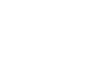 Workshops:  Im Verein, auf der Reitanlage oder in einer von mir gewählten Location. Maximale Gruppengröße 8 Personen. Gemeinsam erarbeiten wir theoretische Inhalte, machen Übungen, gehen auf eure Fragestellungen und ggf. Herausforderungen ein und tauschen uns offen aus. Dieser Rahmen lässt keine konkreten Interventionen zu.